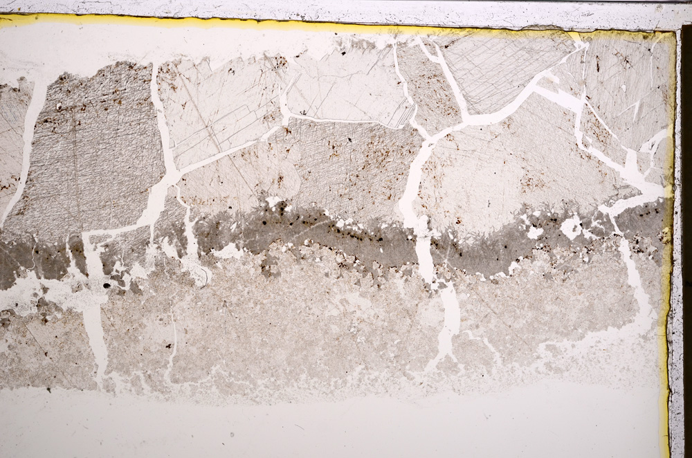 Plane Polarized, E21011