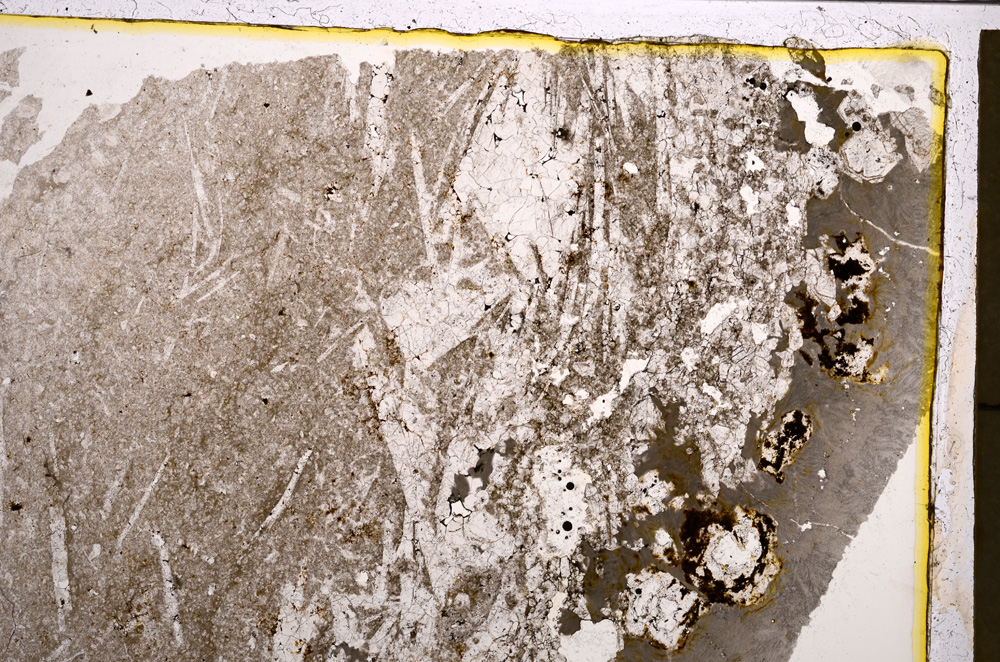 Plane Polarized, E21012