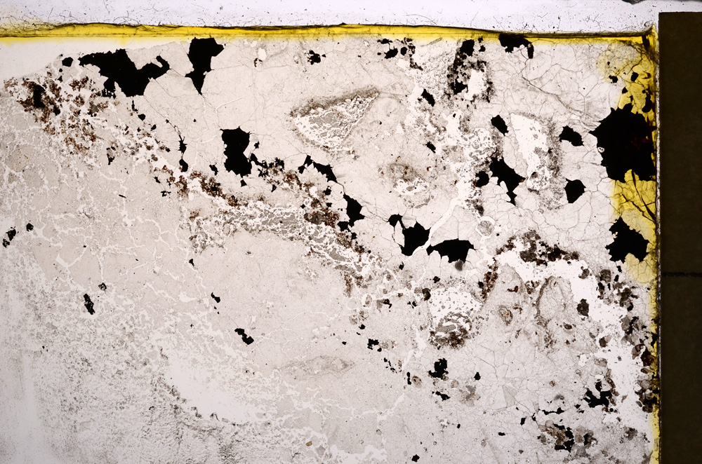 Plane Polarized, E21013