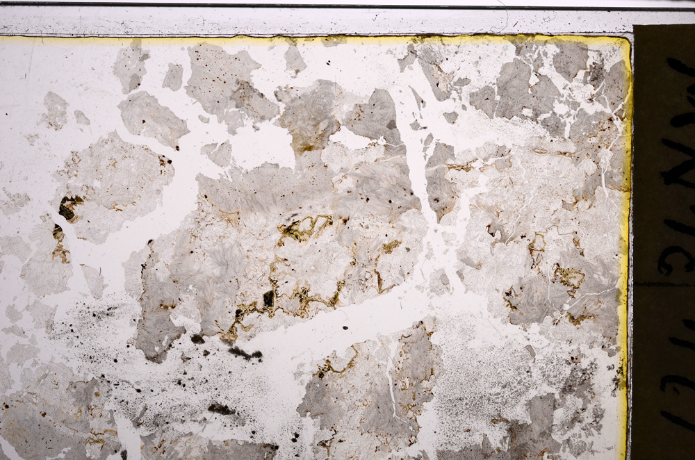 Plane Polarized, E21017