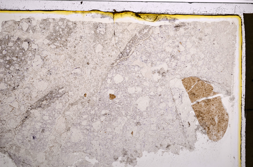 Plane Polarized, E21031