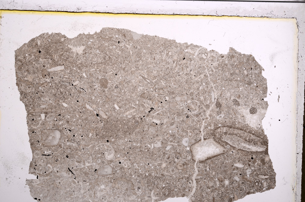 Plane Polarized, E21039