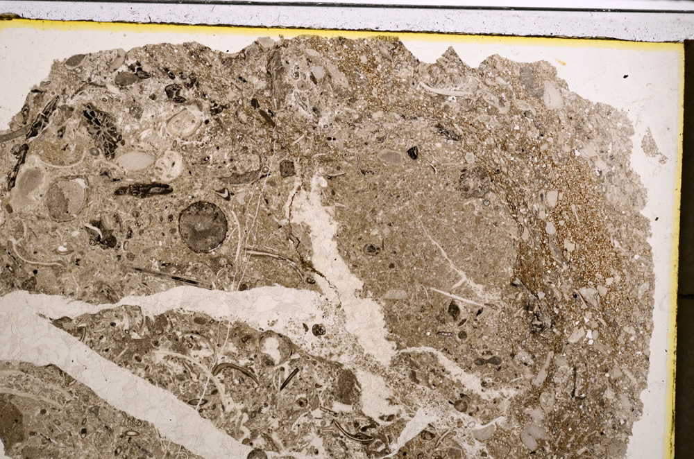 Plane Polarized, E21043