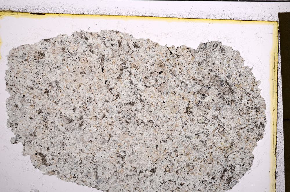 Plane Polarized, E21044