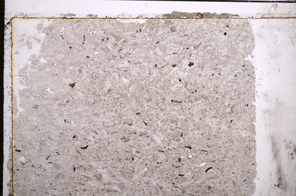 Plane Polarized, E21057