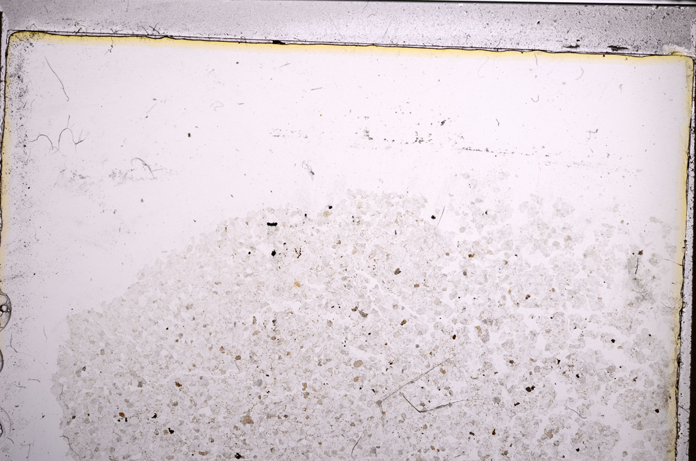 Plane Polarized, E21077