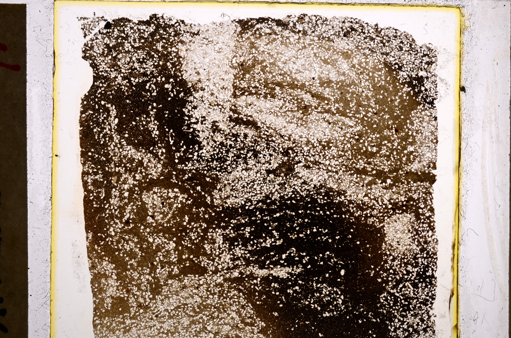 Plane Polarized, E21099
