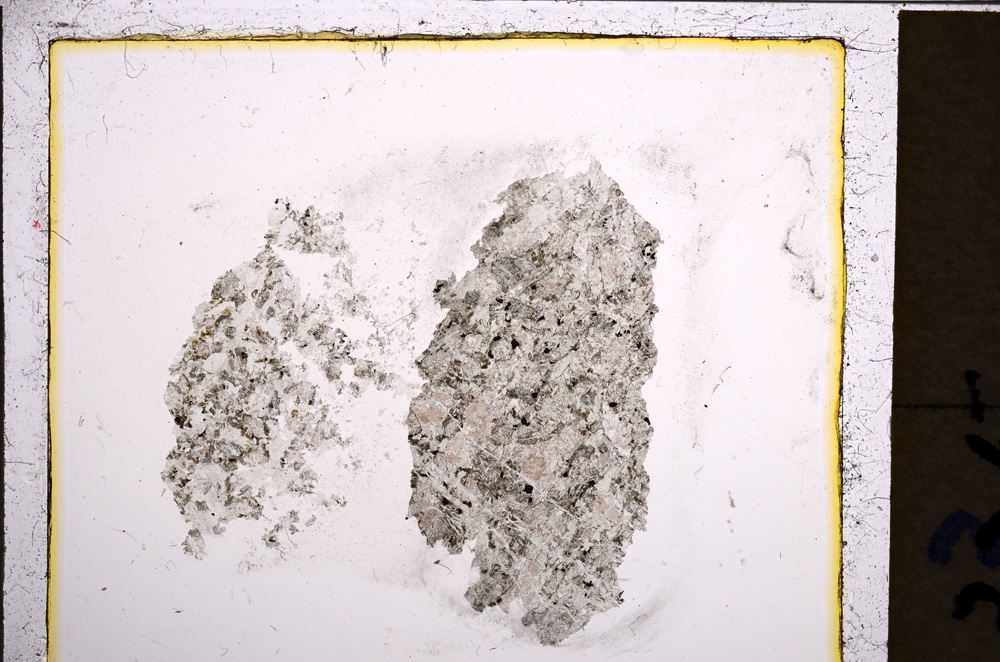 Plane Polarized, E21136