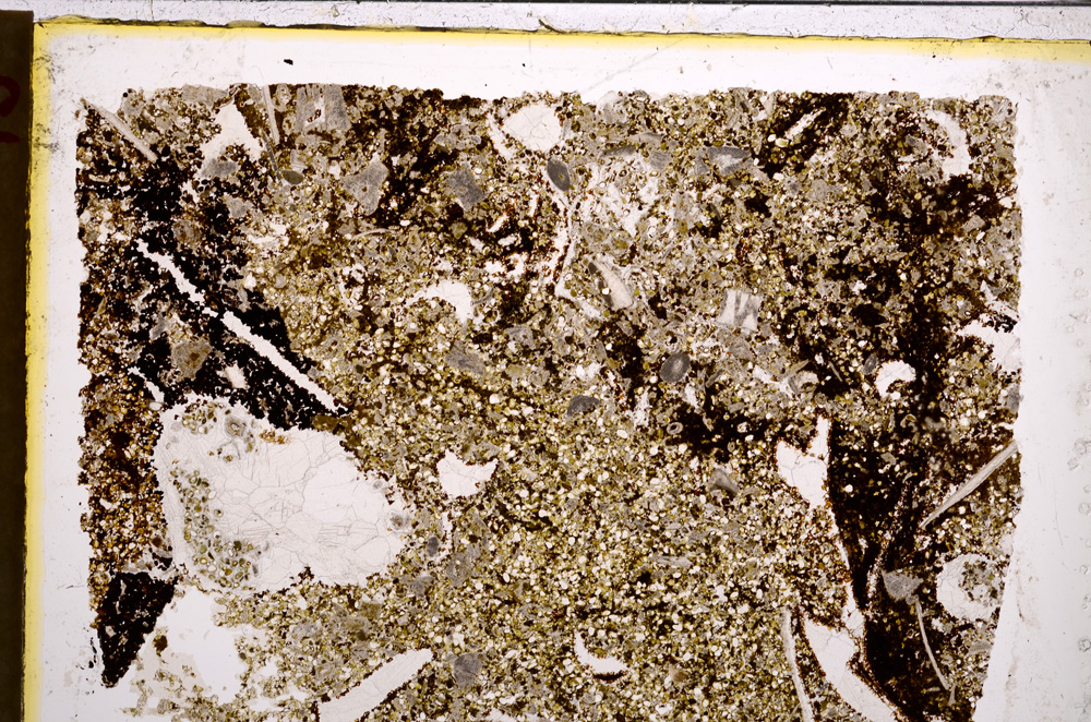 Plane Polarized, E21173