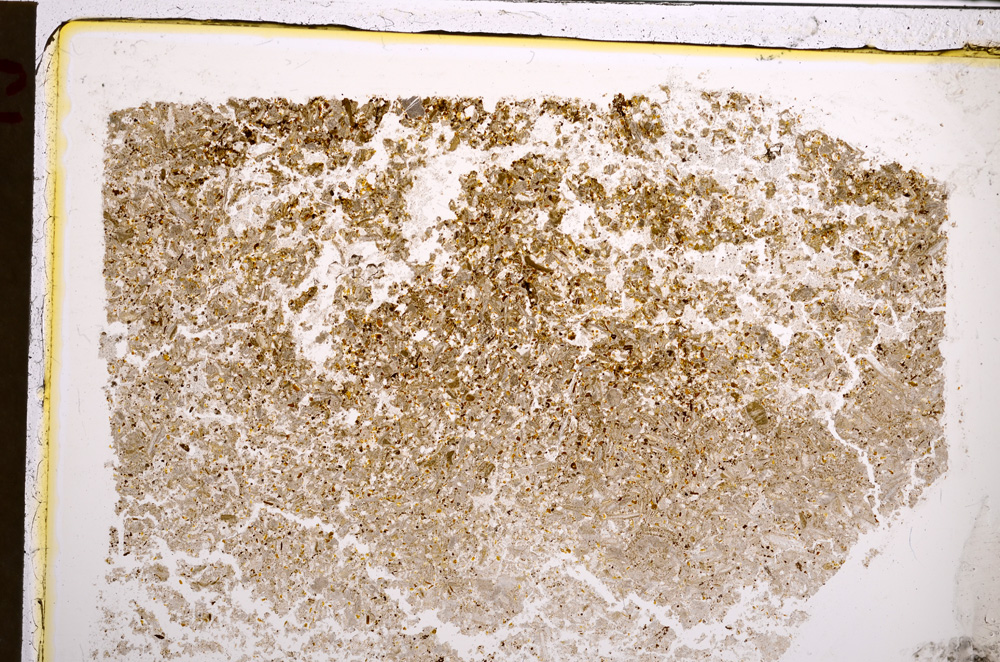 Plane Polarized, E21176