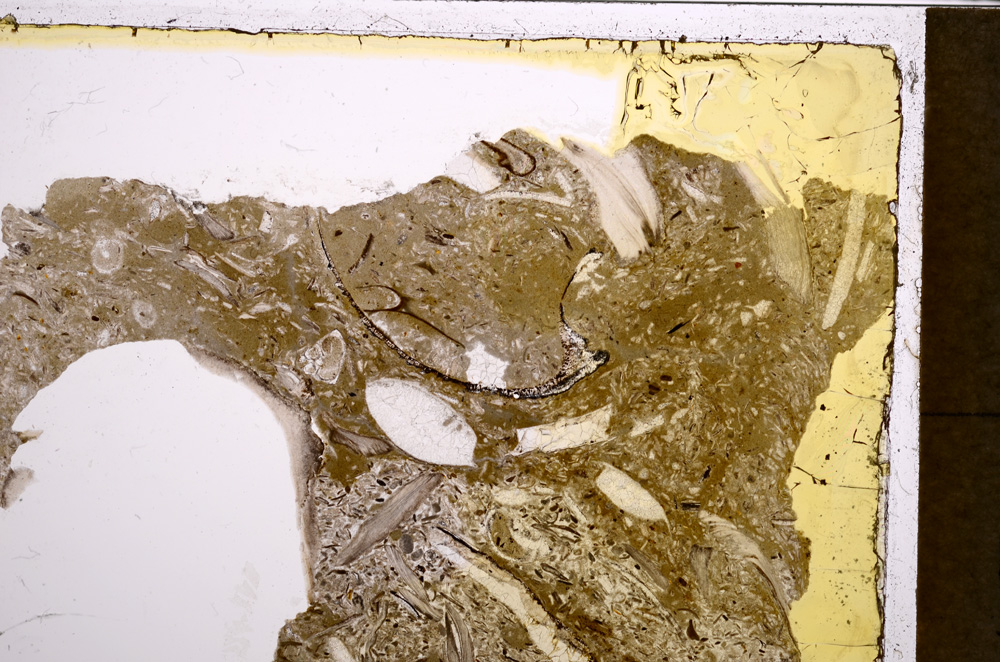 Plane Polarized, E21196