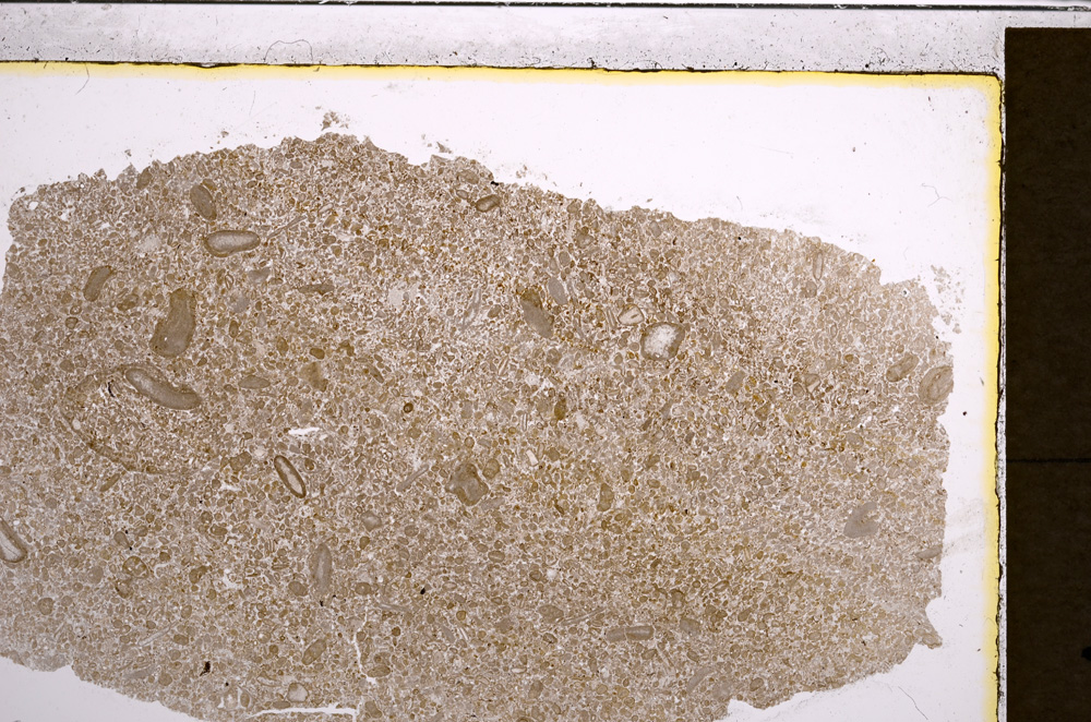 Plane Polarized, E21216