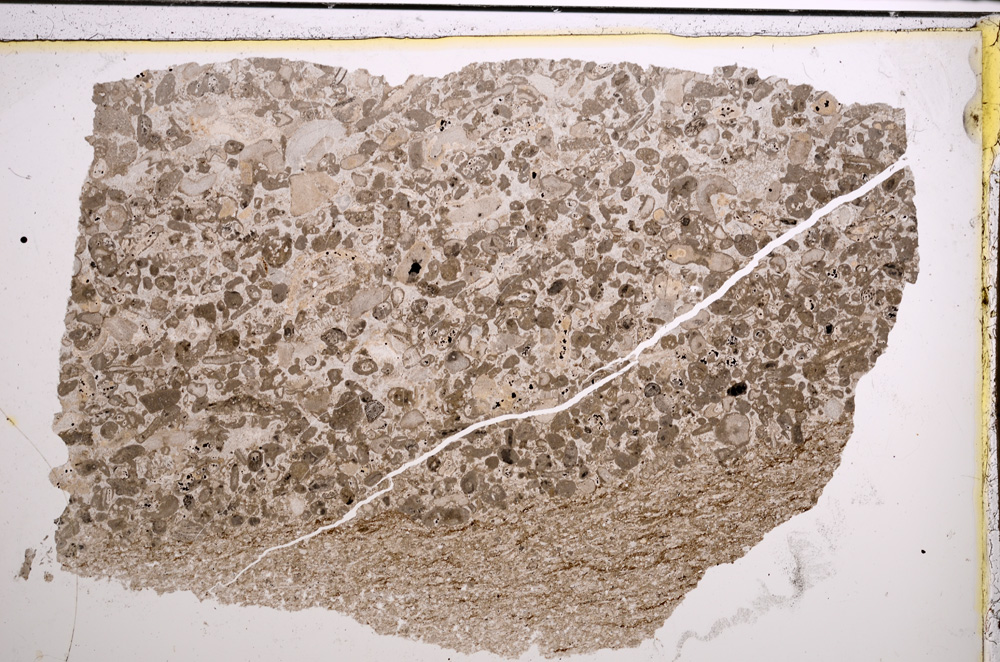 Plane Polarized, E21270