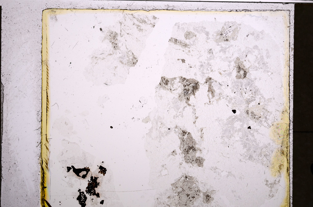 Plane Polarized, E21281