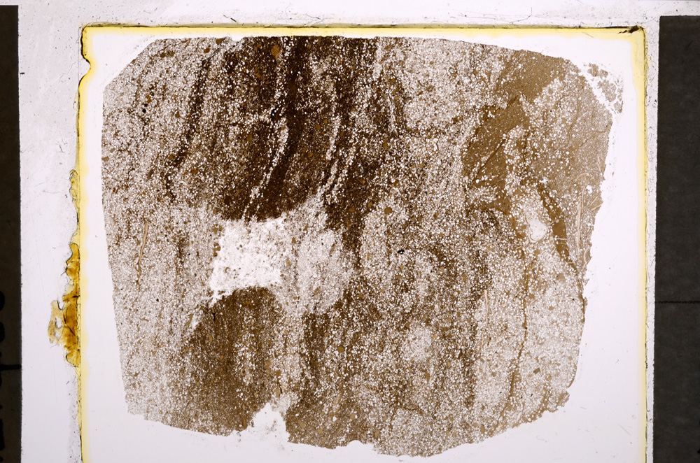 Plane Polarized, E21347