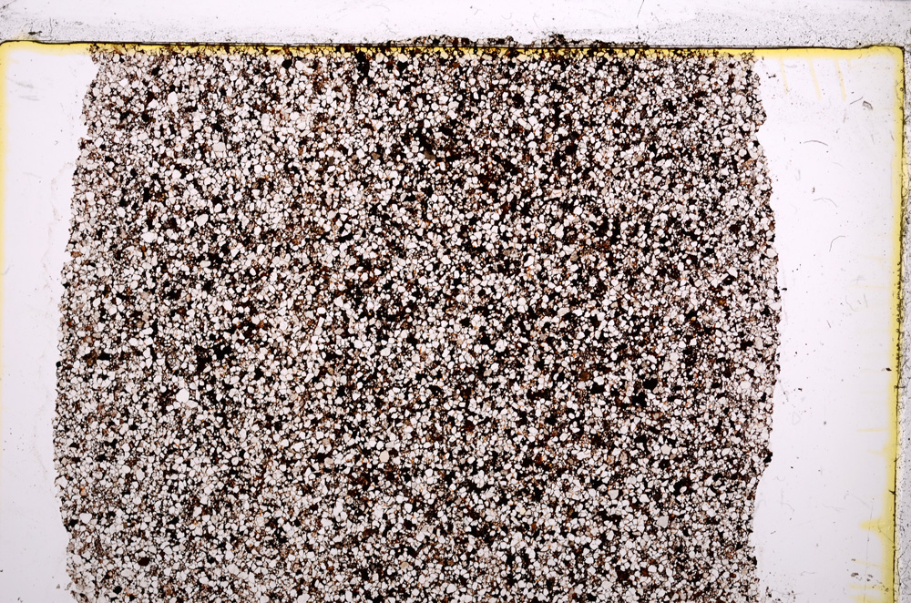 Plane Polarized, E21381