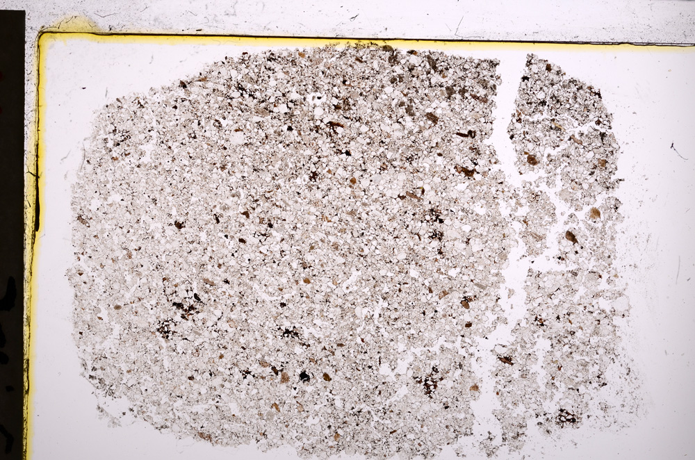 Plane Polarized, E21382