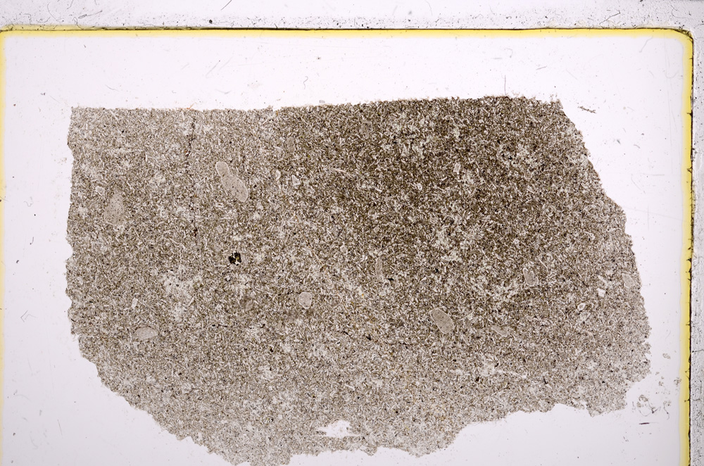 Plane Polarized, E21388
