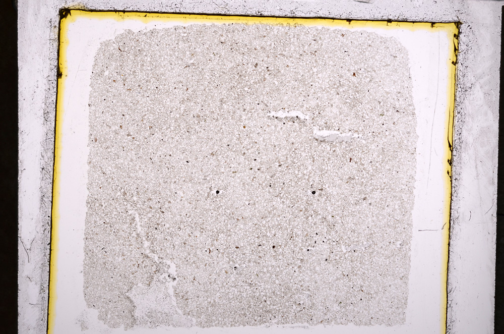 Plane Polarized, E21397