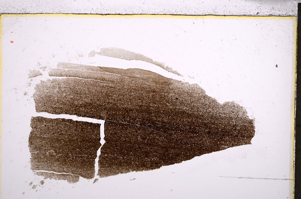 Plane Polarized, E21442