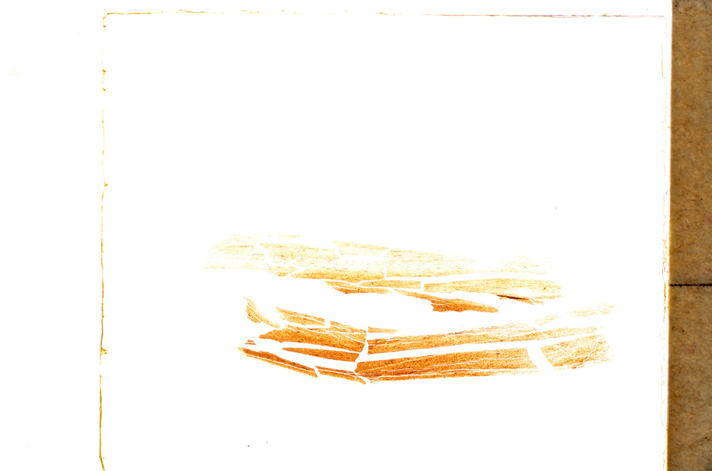 Plane Polarized, E21443