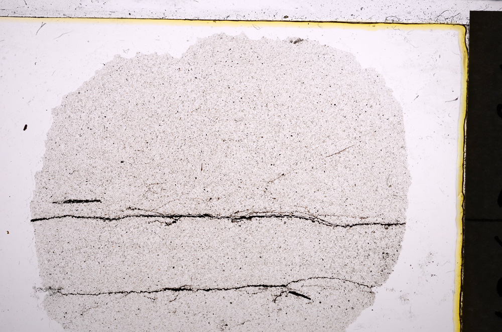 Plane Polarized, E21449