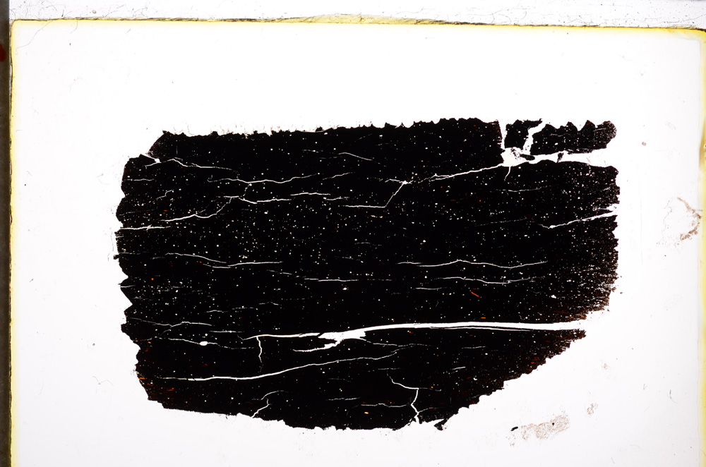 Plane Polarized, E21451