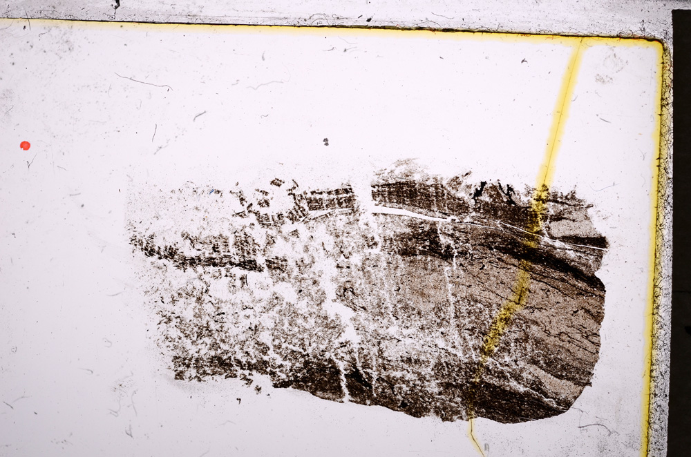 Plane Polarized, E21453