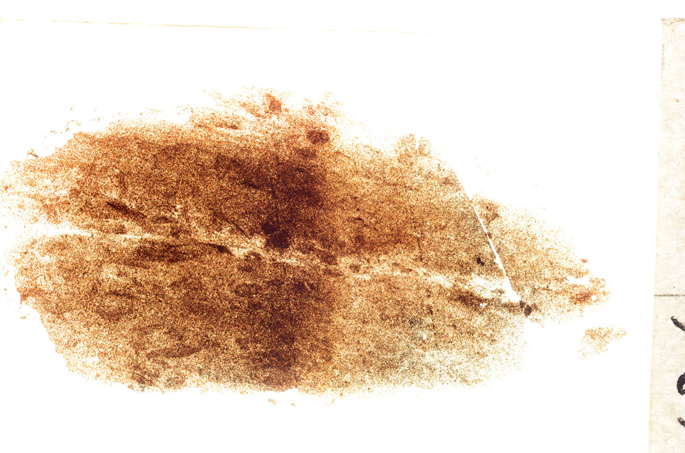 Plane Polarized, E21455/A