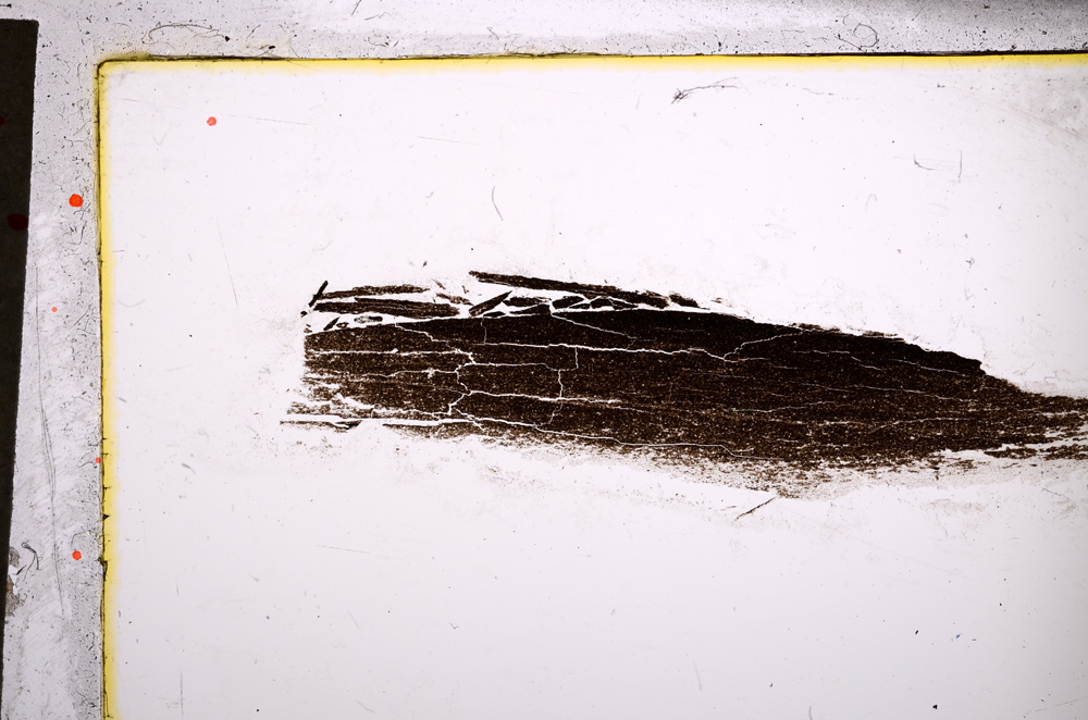 Plane Polarized, E21456