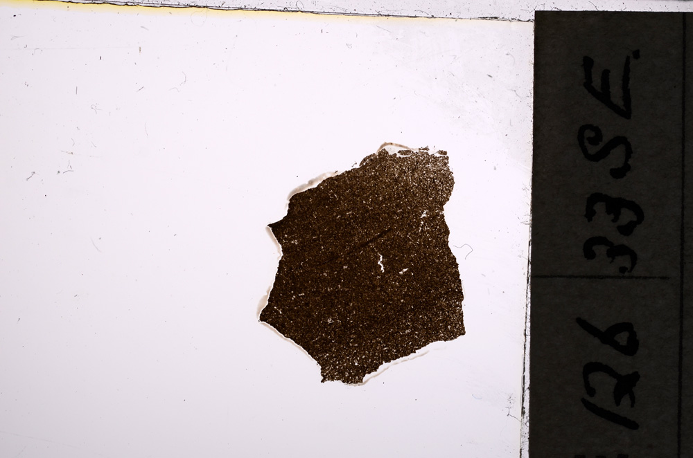 Plane Polarized, E21459/A