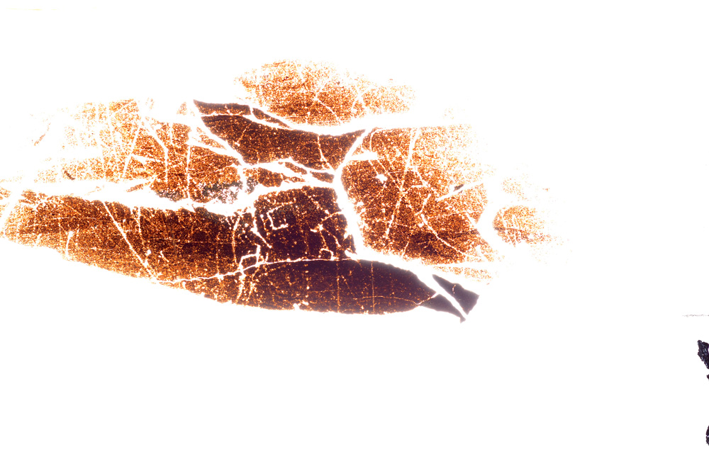 Plane Polarized, E21463