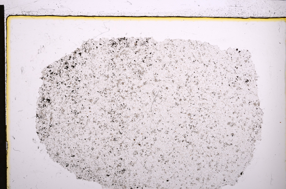 Plane Polarized, E21465