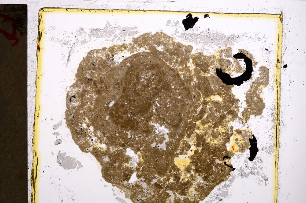 Plane Polarized, E21467