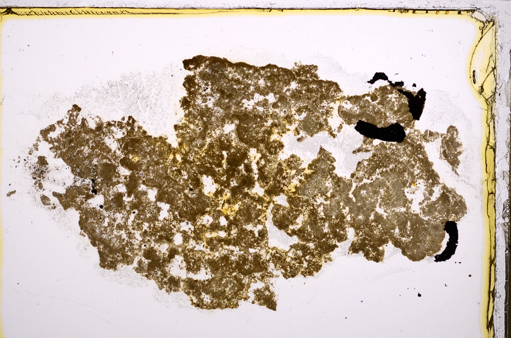 Plane Polarized, E21468