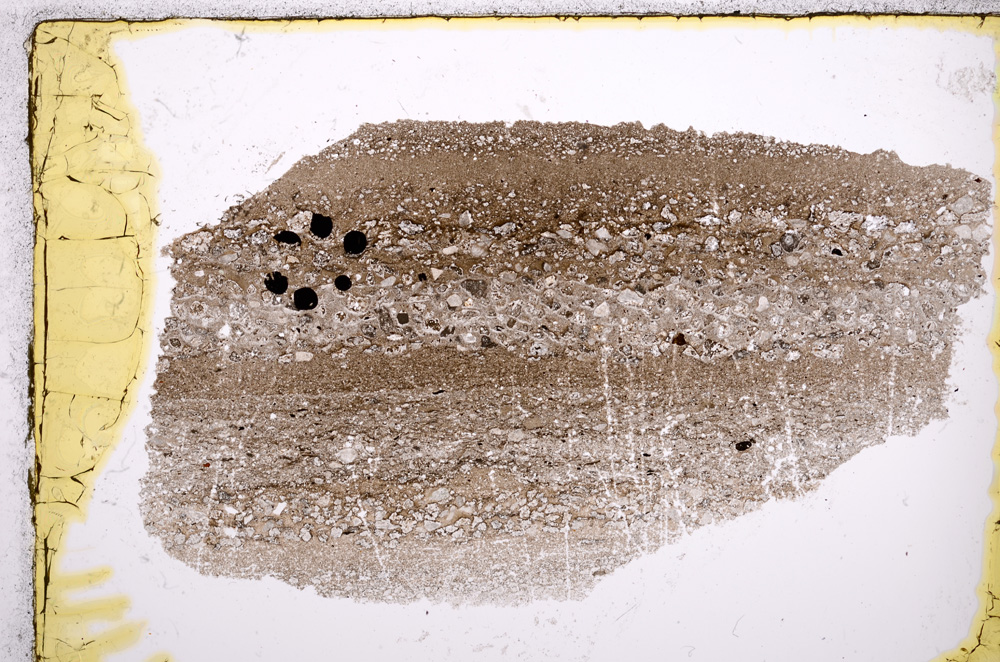 Plane Polarized, E21479