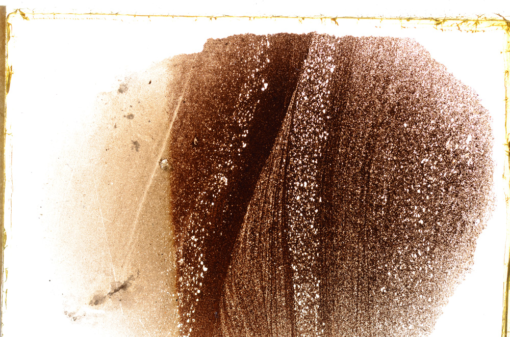 Plane Polarized, E21481/A