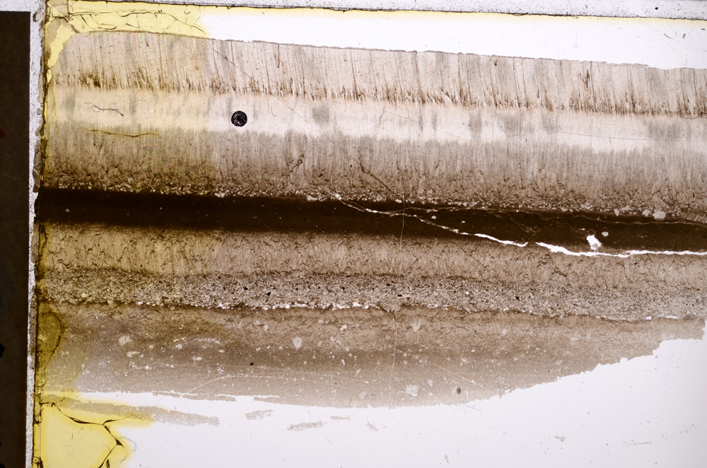Plane Polarized, E21483