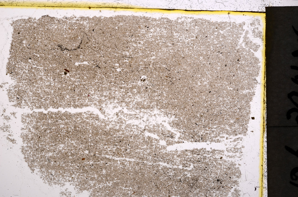 Plane Polarized, E21497