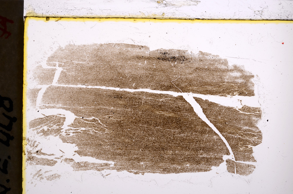 Plane Polarized, E21498