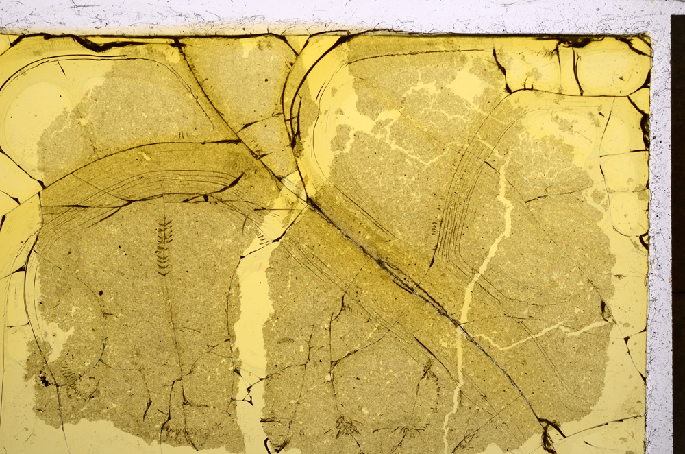 Plane Polarized, E21499