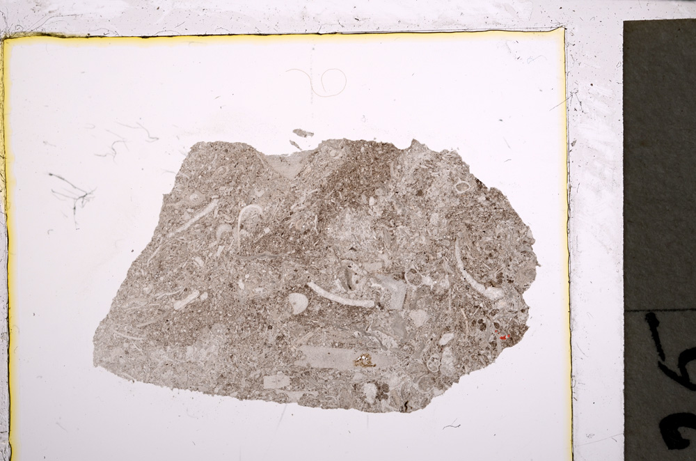 Plane Polarized, E21520