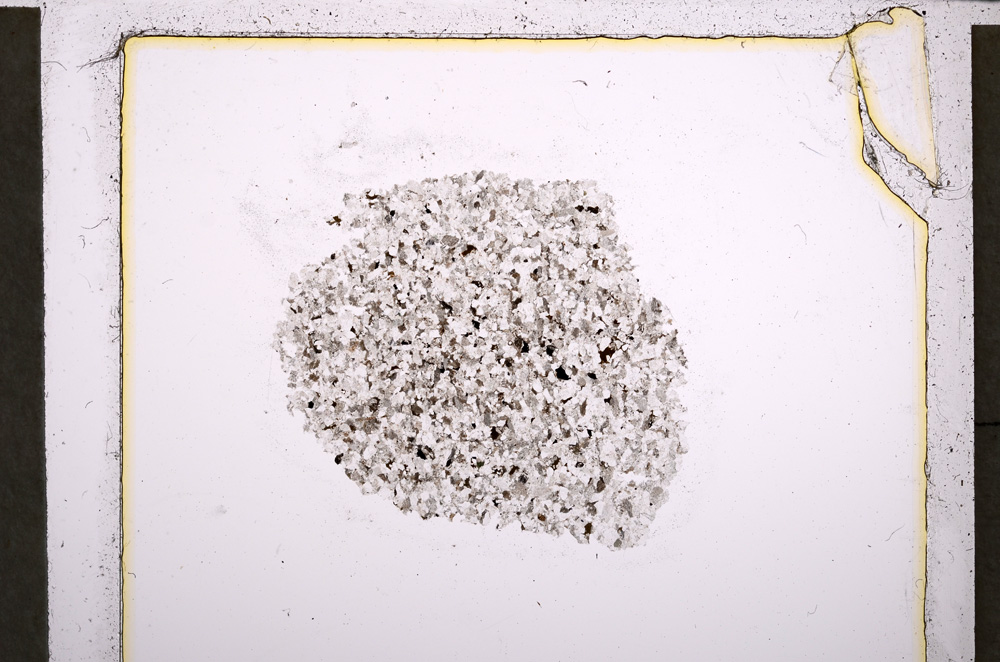 Plane Polarized, E21523