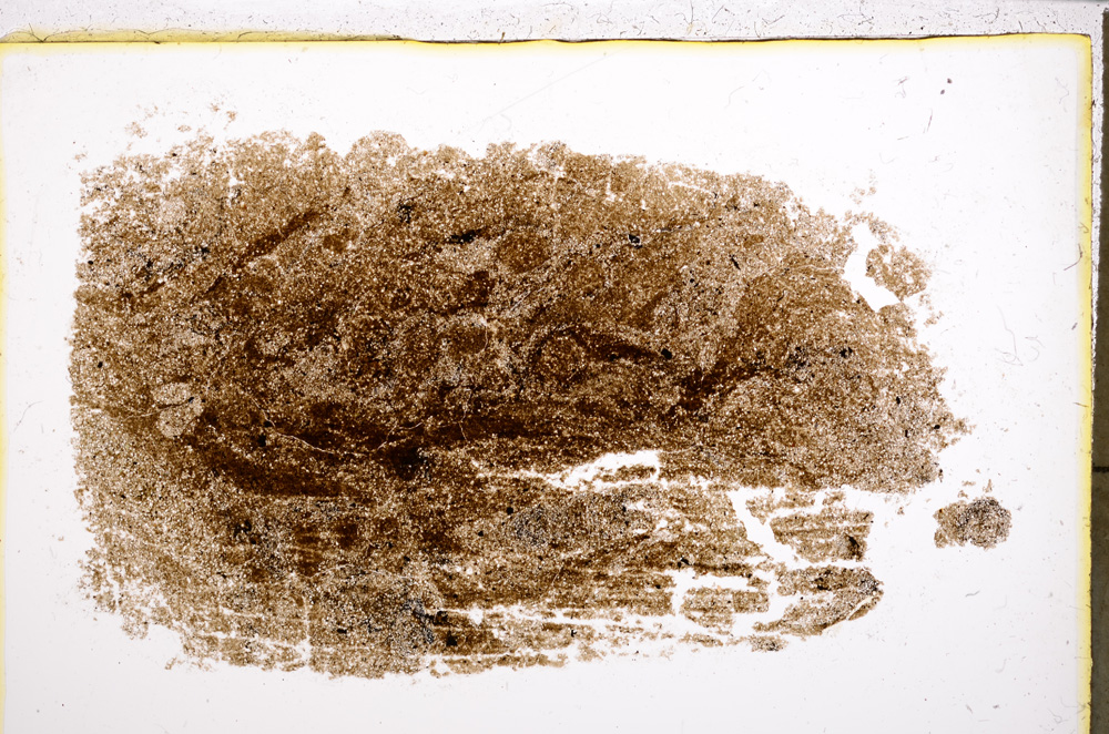 Plane Polarized, E21566