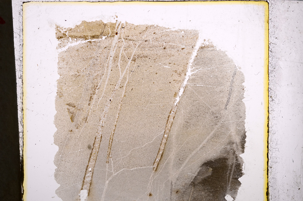 Plane Polarized, E21570