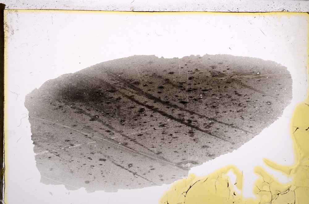 Plane Polarized, E21571