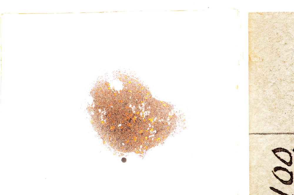 Plane Polarized, E21580