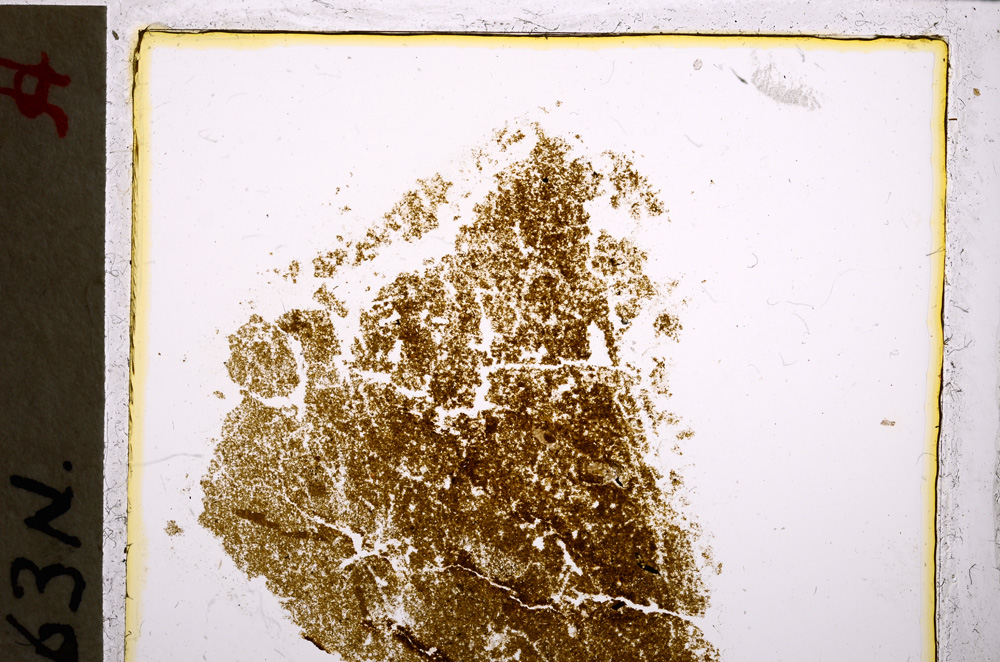 Plane Polarized, E21589