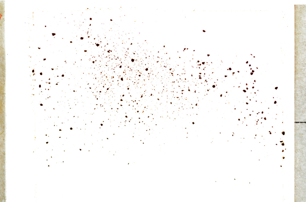 Plane Polarized, E21654