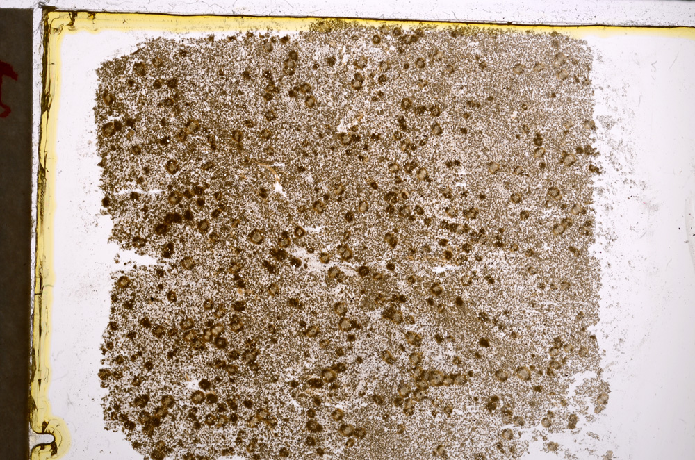 Plane Polarized, E21661